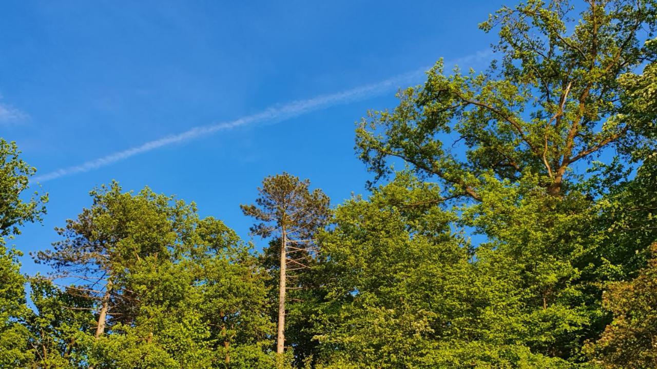 Gite De Terre Et De Charme Hamoir Buitenkant foto